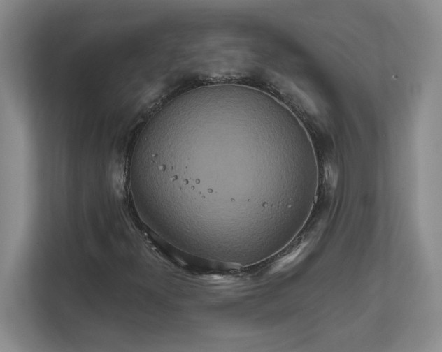 X0000111821300200908061127