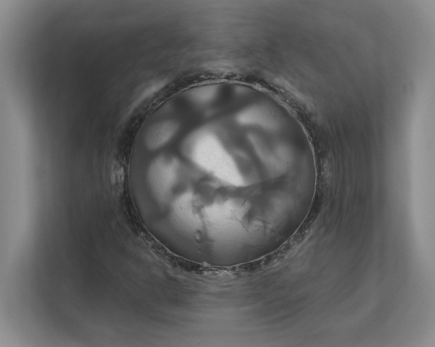 X0000111821302200908061127