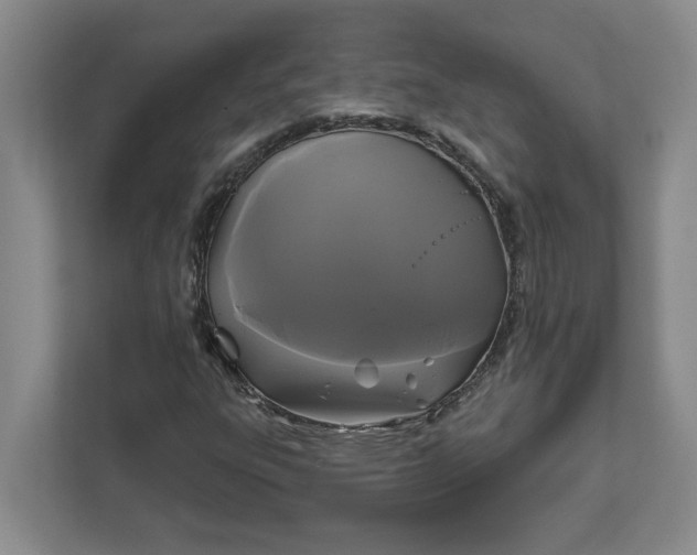 X0000111821303200908061127