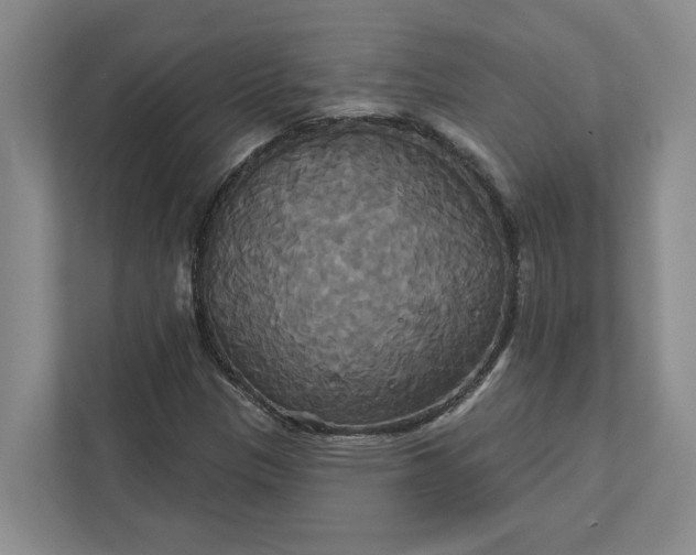 X0000111821305200908061127