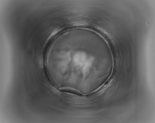 X0000111821306200908061127
