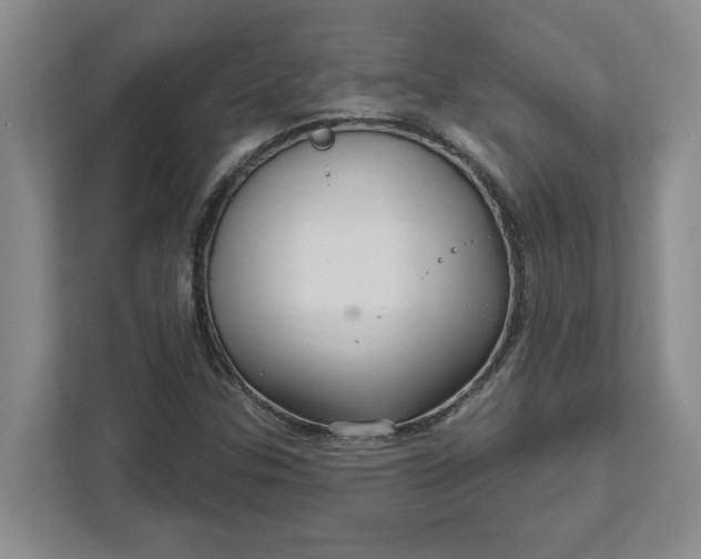 X0000111821307200908061127