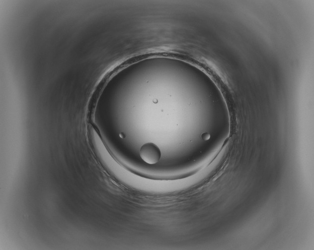 X0000111821308200908061127