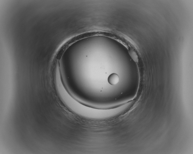 X0000111821310200908061127