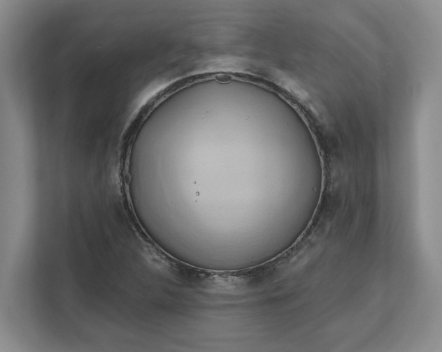 X0000111821312200908061127