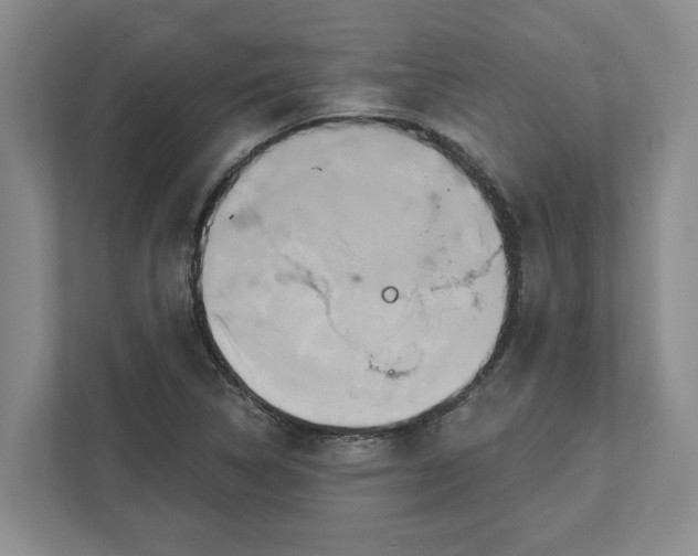 X0000111821314200908061127