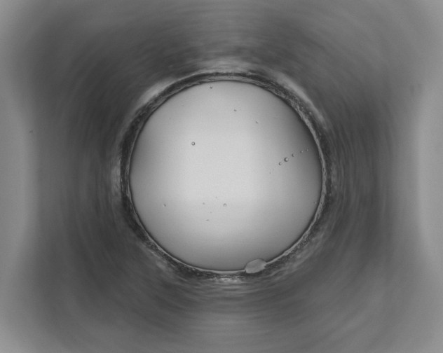 X0000111821315200908061127