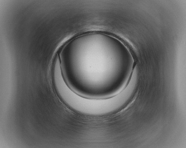 X0000111821317200908061127