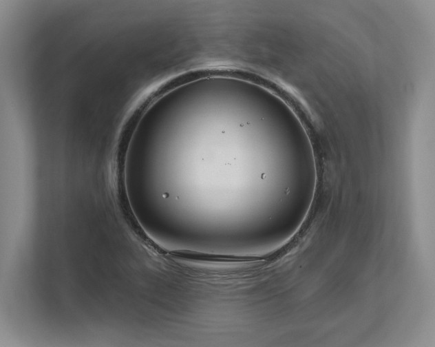 X0000111821319200908061127