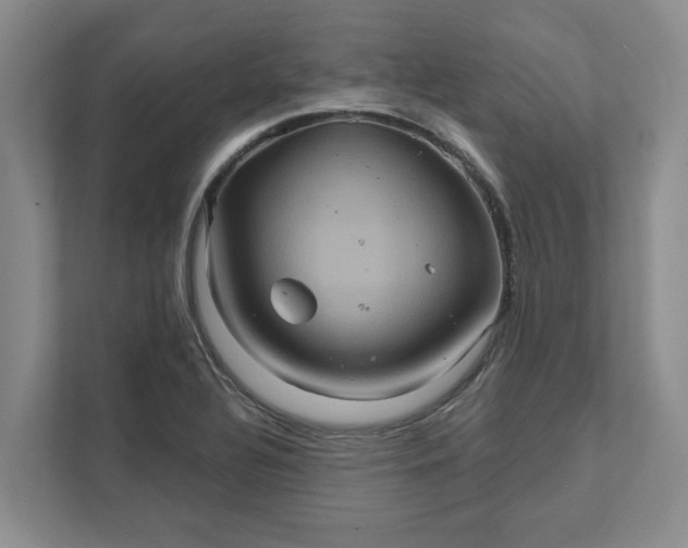 X0000111821320200908061127