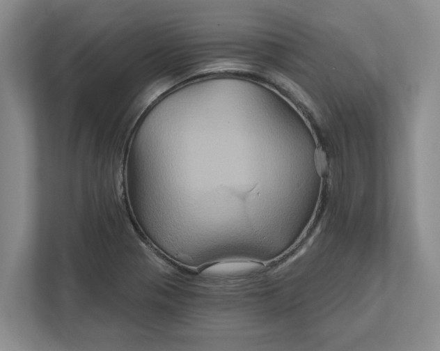 X0000111821321200908061127