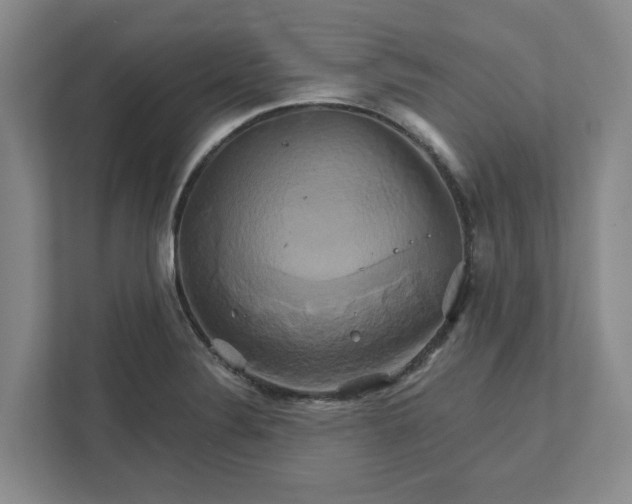 X0000111821324200908061127