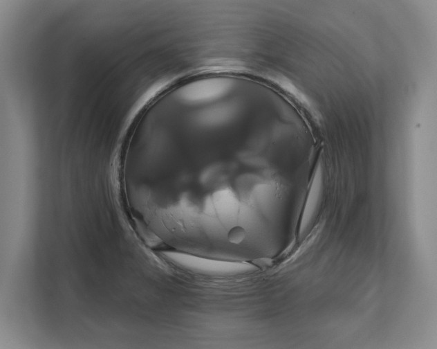 X0000111821325200908061127