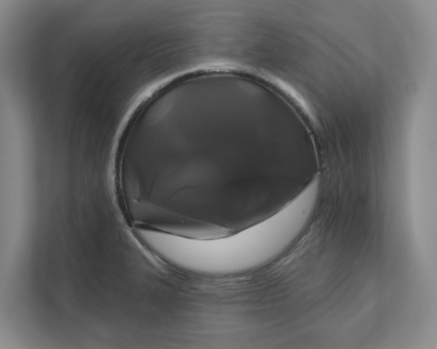 X0000111821327200908061127