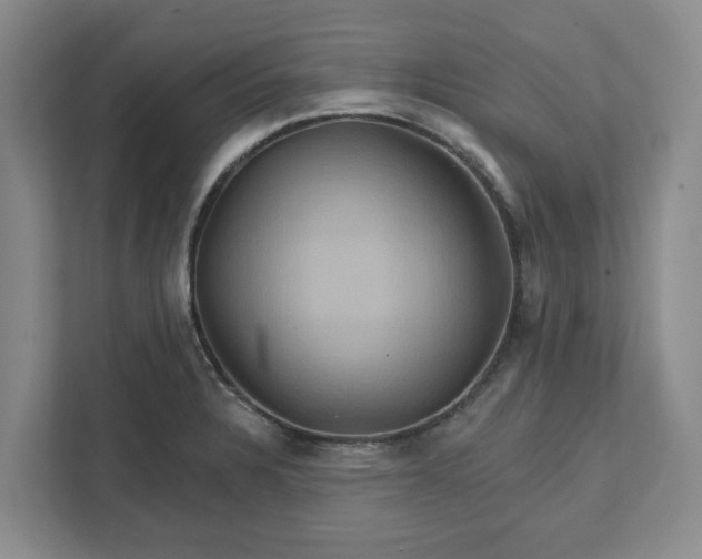 X0000111821328200908061127