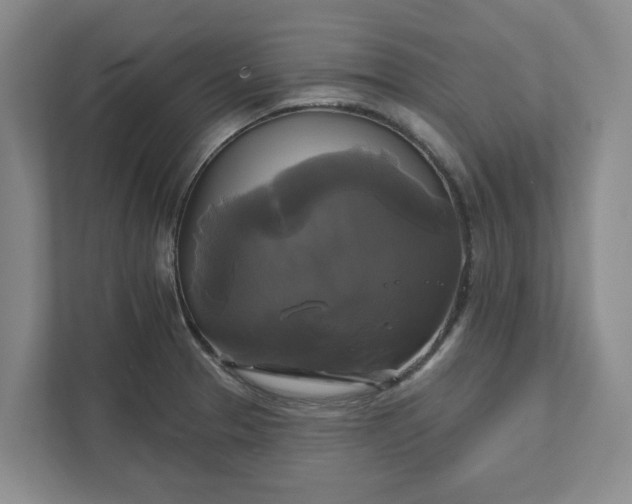 X0000111821329200908061127