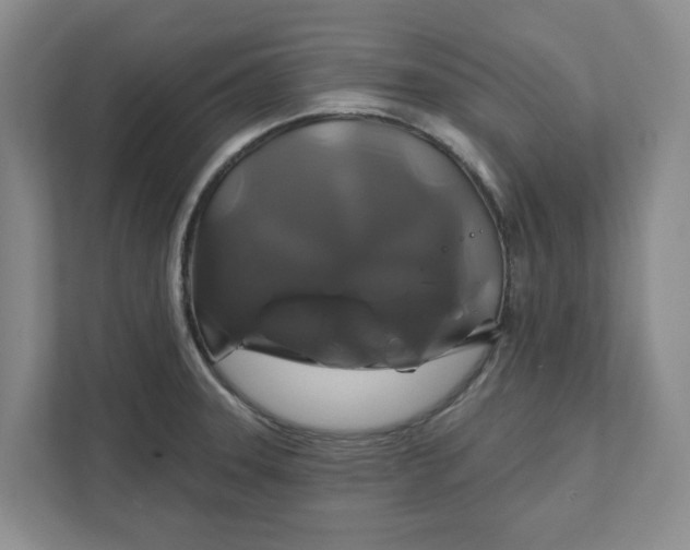 X0000111821331200908061127