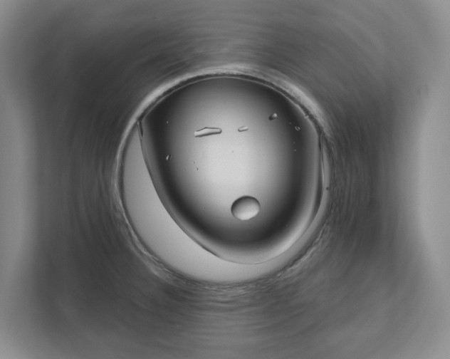 X0000111821332200908061127