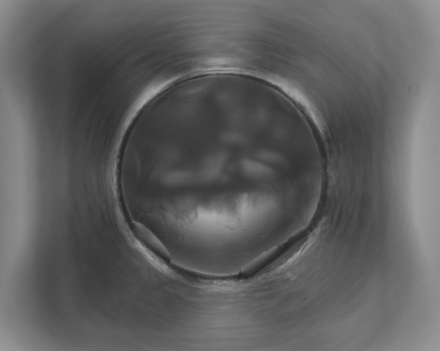 X0000111821333200908061127