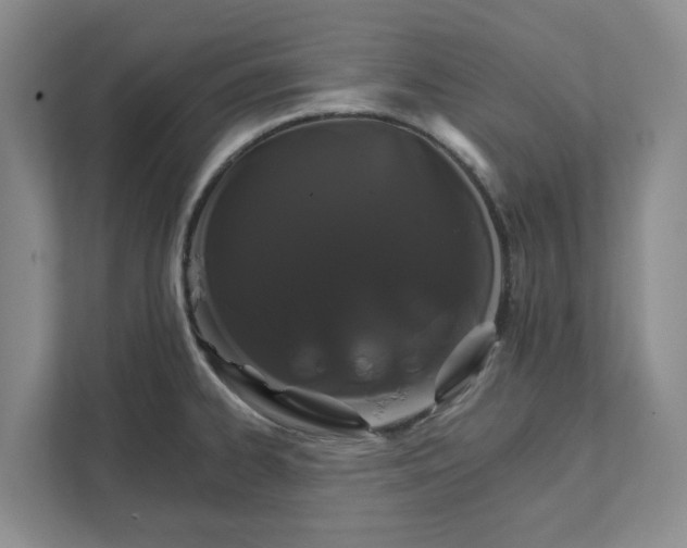 X0000111821334200908061127