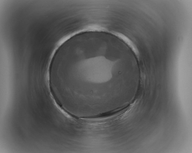 X0000111821335200908061127