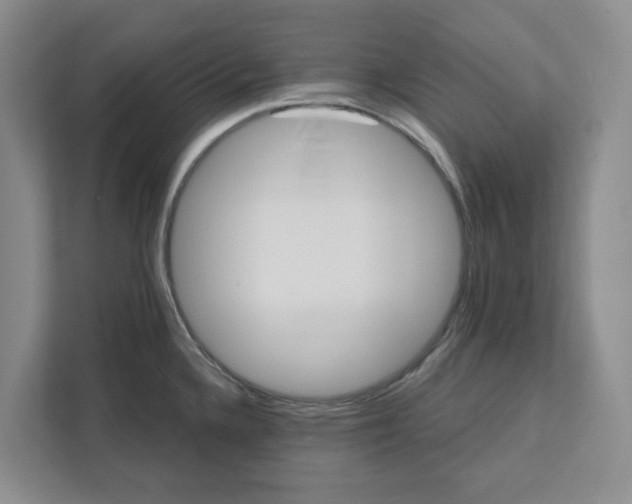 X0000111821336200908061128