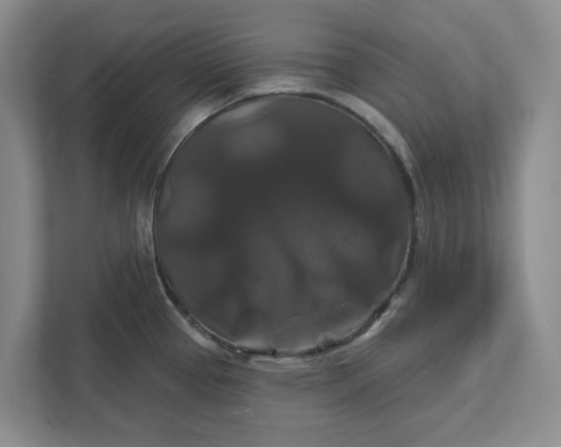 X0000111821337200908061128