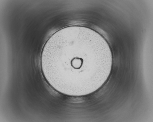 X0000111821338200908061128