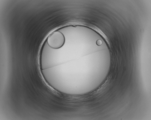 X0000111821339200908061128