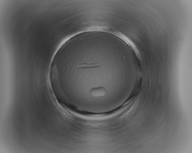 X0000111821340200908061128