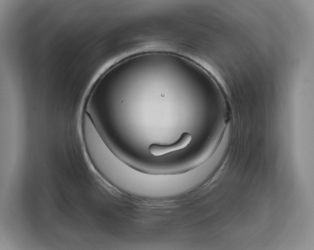 X0000111821342200908061128