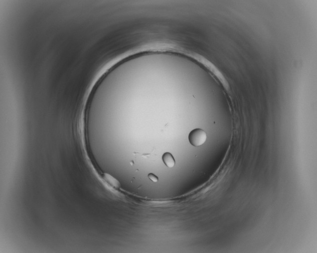X0000111821343200908061128