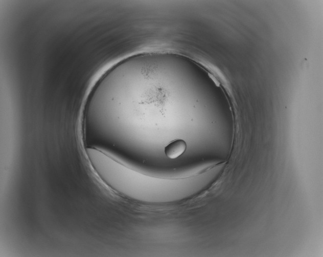 X0000111821344200908061128