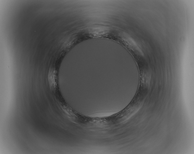 X0000111821346200908061127