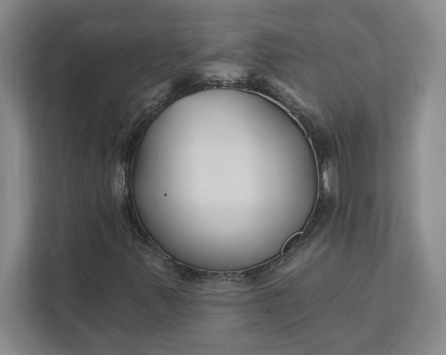 X0000111821347200908061127