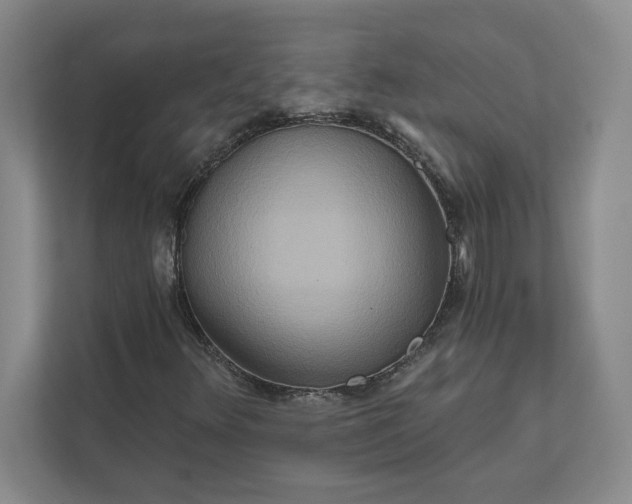 X0000111821348200908061127