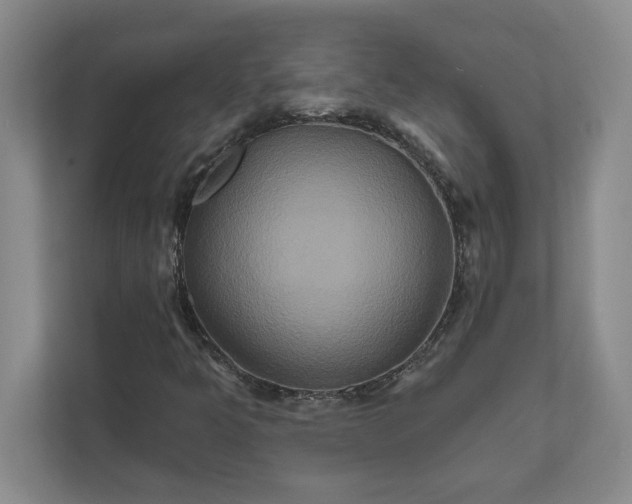 X0000111821349200908061127