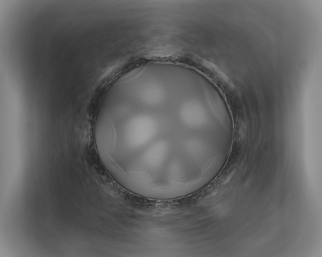 X0000111821350200908061127