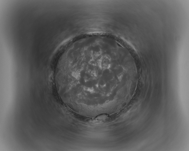 X0000111821351200908061127