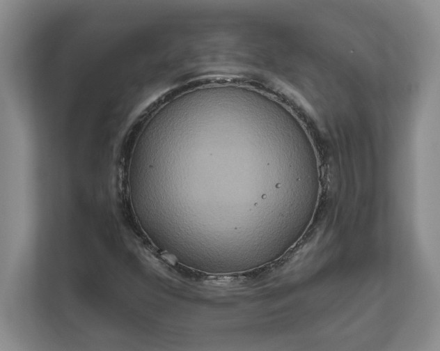 X0000111821352200908061127