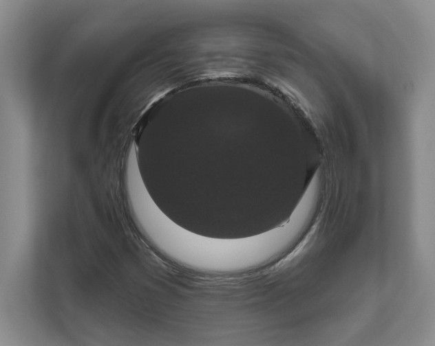 X0000111821353200908061127