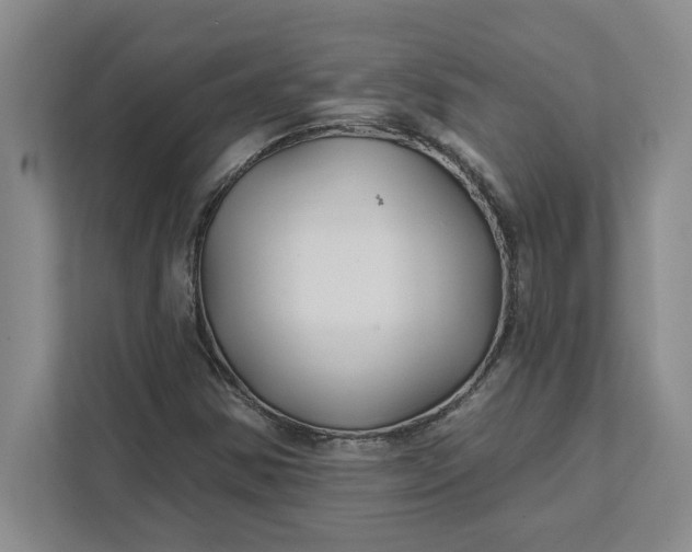 X0000111821354200908061127