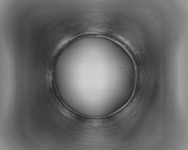 X0000111821355200908061127
