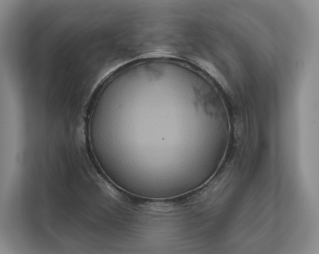 X0000111821356200908061127