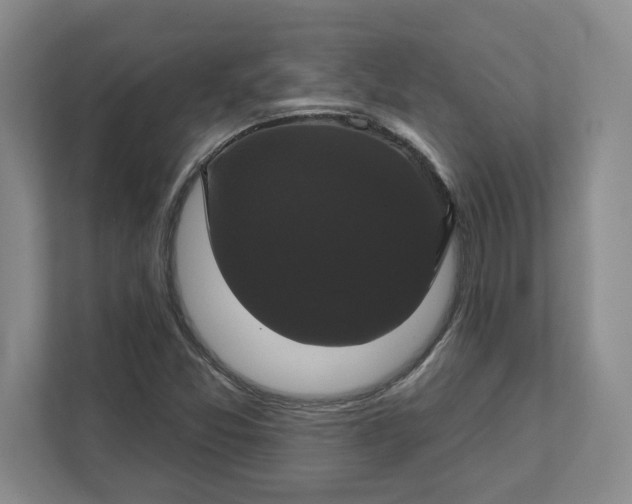 X0000111821357200908061127