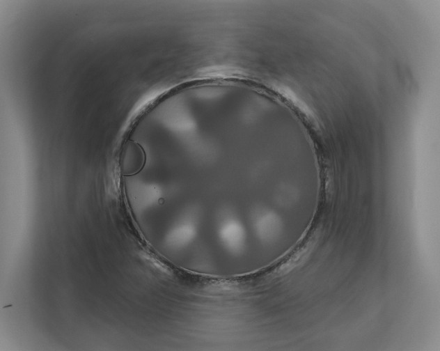 X0000111821358200908061127