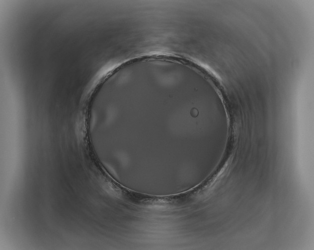 X0000111821359200908061127