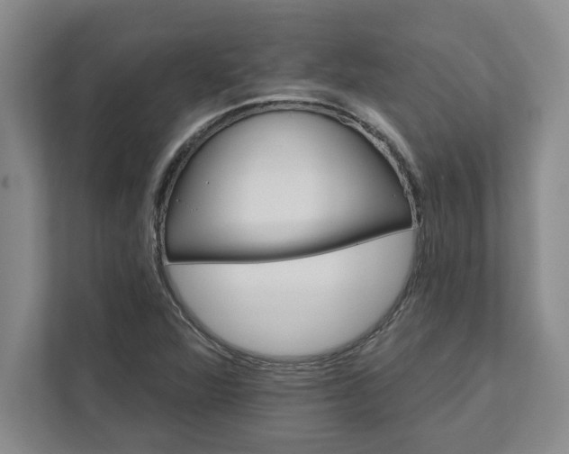 X0000111821360200908061127