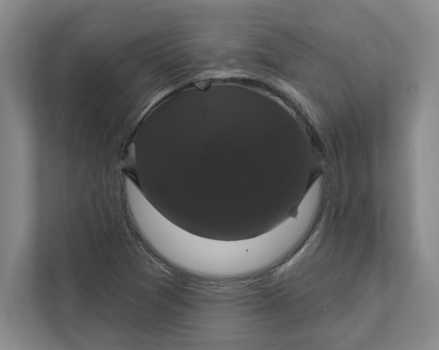 X0000111821361200908061127