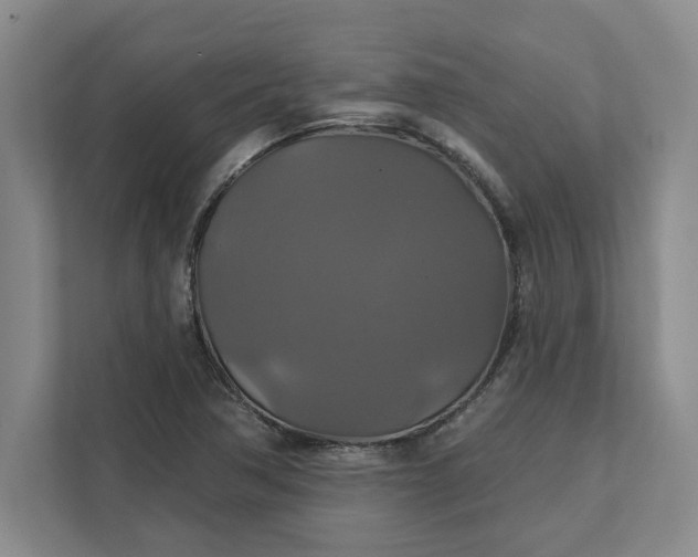 X0000111821362200908061127